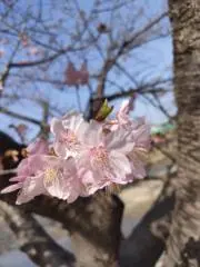 ハンドメイド恵318の画像
