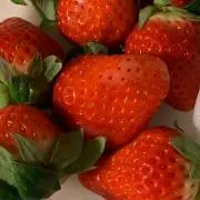 イチゴ(値引き交渉は値段ご提示ください)の画像