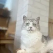 ゆゆの画像
