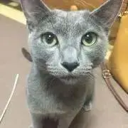 ルードン