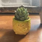 フォーキーの画像