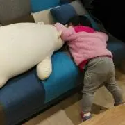 やっちゃんの画像