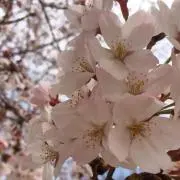 ちゃんみ❤︎の画像