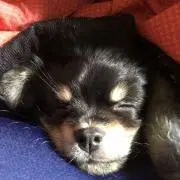 ゆっぴーちゃん❤️の画像