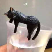 しの⭐️の画像