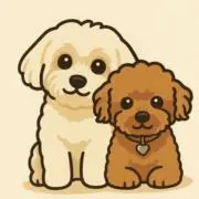 sorairoの画像