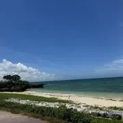 Qin プロフ必読の画像
