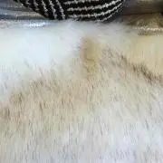 totoの画像