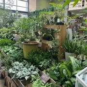 ななと