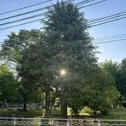 き