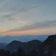 Y.Cの画像