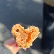 茶々丸の画像