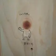 ひーちゃん☆プロフ必ずご覧下さい☆の画像