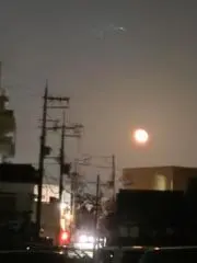 おぼんちゃん