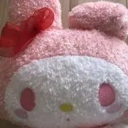ドンちゃんの画像