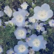 kanaの画像