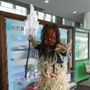 こぶたぬき3の画像