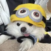 s.k.r.m.kの画像