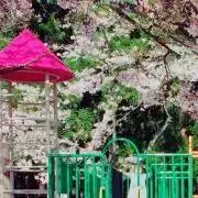 meo＊断捨離中の画像