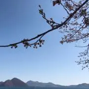 k...の画像