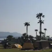muyuの画像