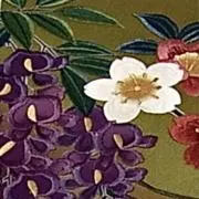 ⭐️着物andey2000の画像