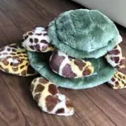 セバの画像