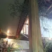 ひなちょこ