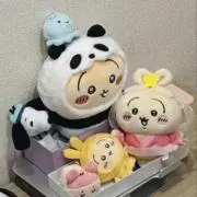 Mioの画像