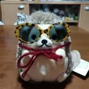 ☆ハリーさん☆の画像