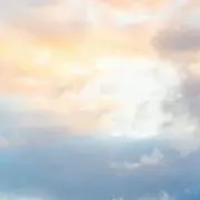 紫の画像