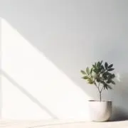 Annaの画像