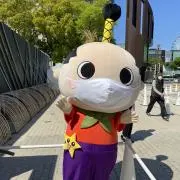 まいの画像
