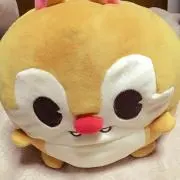 ぐらころの画像