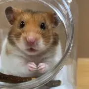 なゆの画像