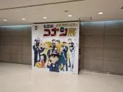 スミレの画像