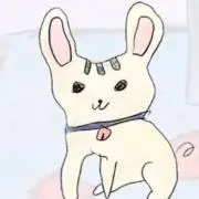せっき