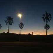 Naresakiの画像
