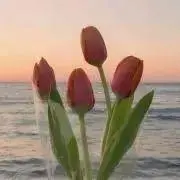 ＊flower＊【※プロフ必読※】の画像