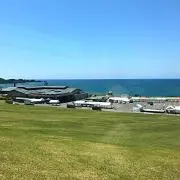 キアナの画像