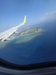 haru55の画像
