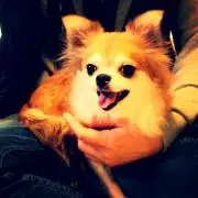 さぁお