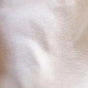 ®️の画像