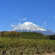 Hanaの画像