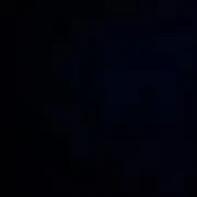 モモ