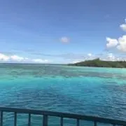 Image of bchi