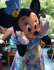 あーにゃの画像