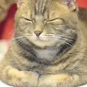 オロゴンの画像