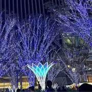 あんずの画像