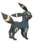 ライ